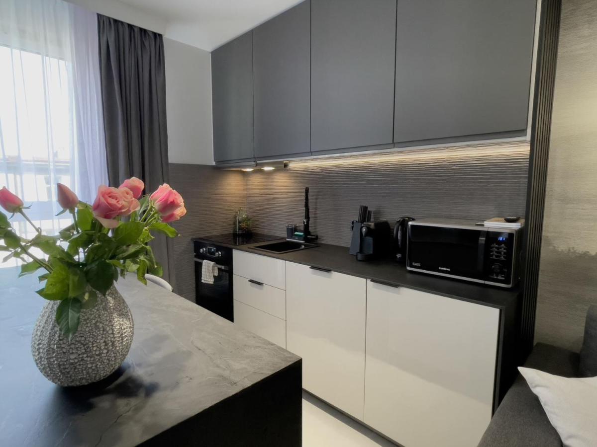 Urban Apartments Premium, Opolska 10 No 89, Free Garage, Self Check-In Katowice Extérieur photo