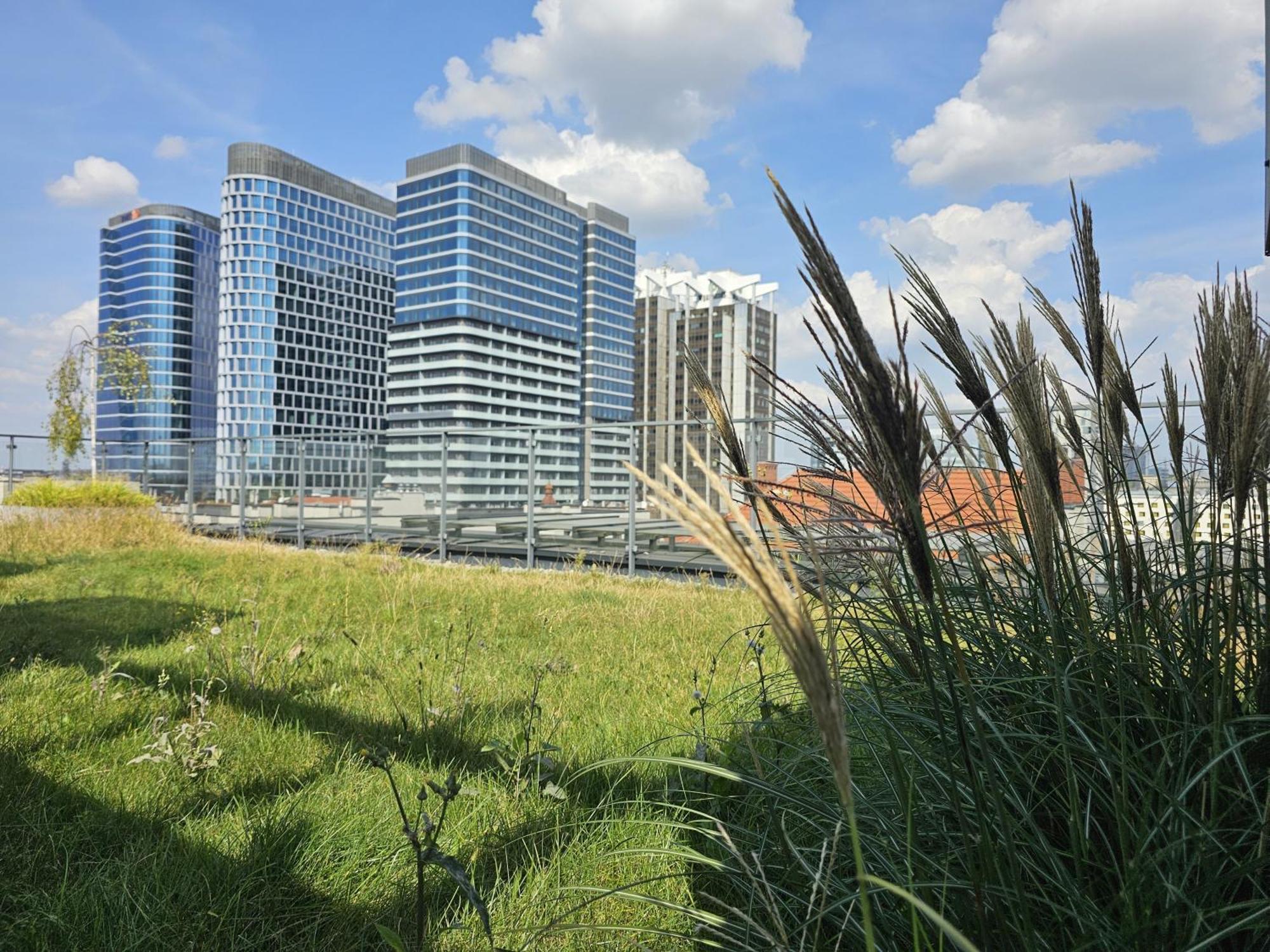 Urban Apartments Premium, Opolska 10 No 89, Free Garage, Self Check-In Katowice Extérieur photo